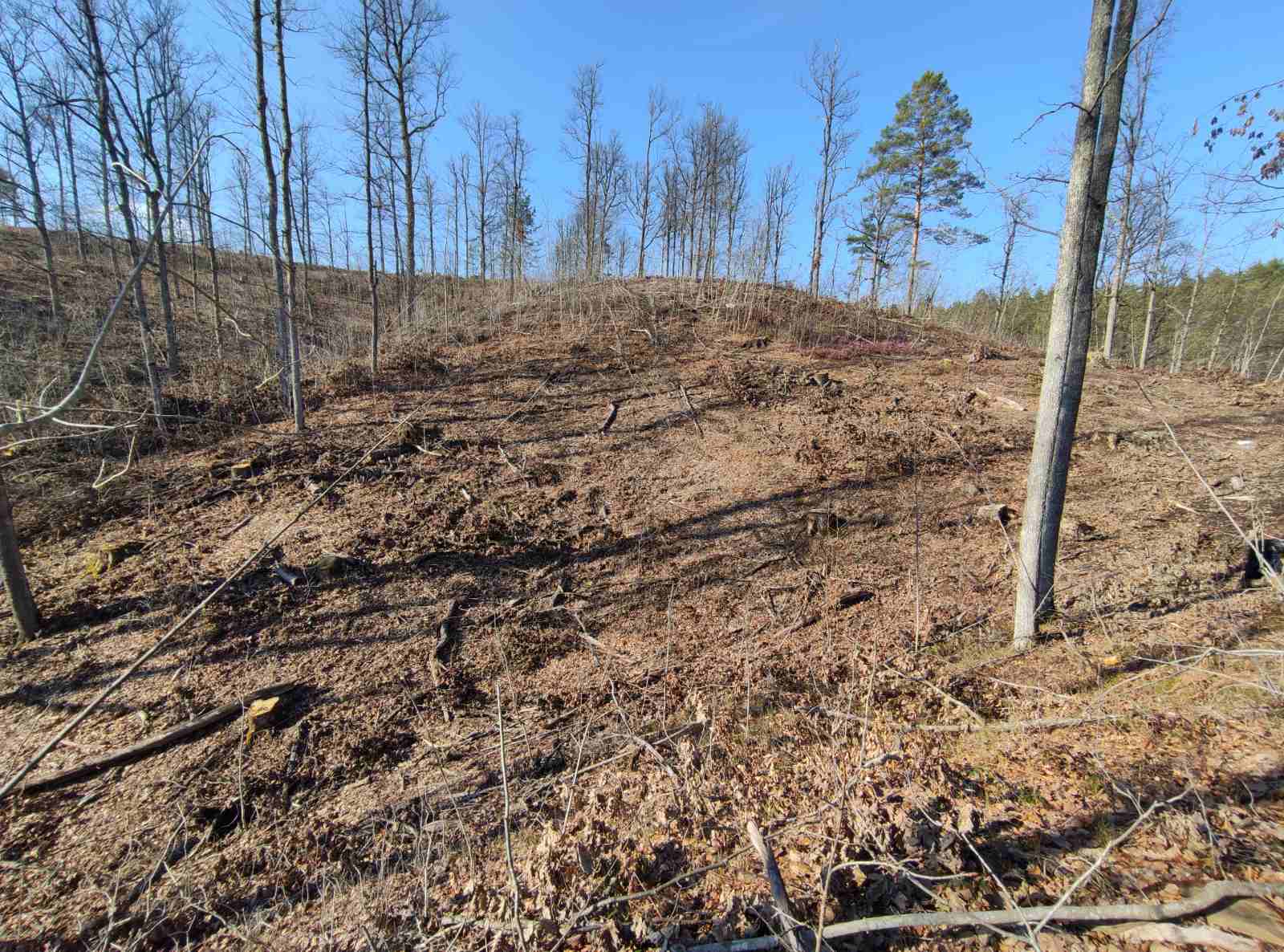 FOTO: USTUPLJENA FOTOGRAFIJA